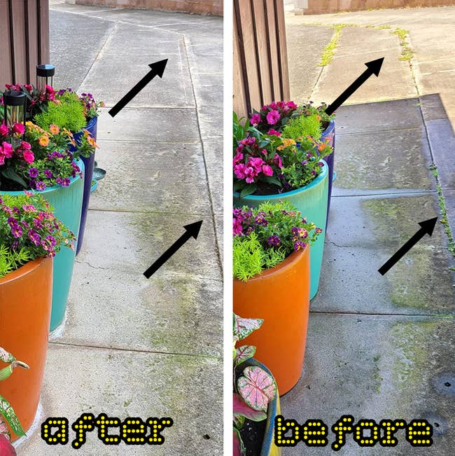 Two images broadside by broadside showing an outdoor way with colorful planter pots filled with vibrant flowers and foliage, lining a walkway