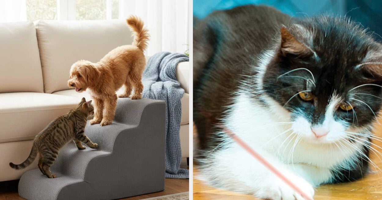 Anyone Who Thinks Their Cat Is Basically Royalty Needs These 29 Walmart Products