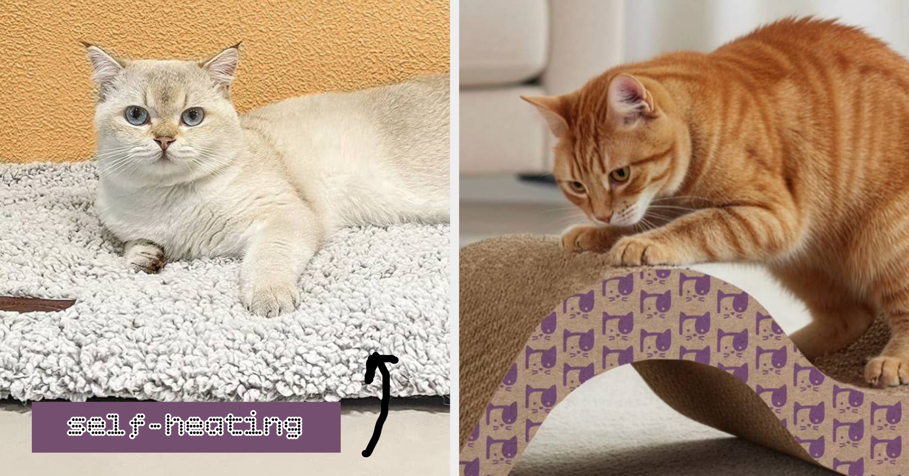 Anyone Who Thinks Their Cat Is Basically Royalty Needs These 30 Walmart Products