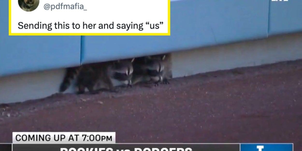 29 Really Funny Animal Tweets