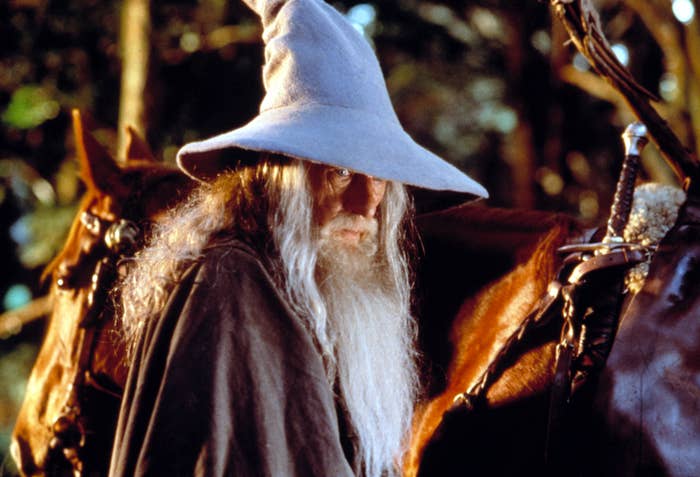 A wizard with a long beard and pointed hat stands beside a horse in a forest scene