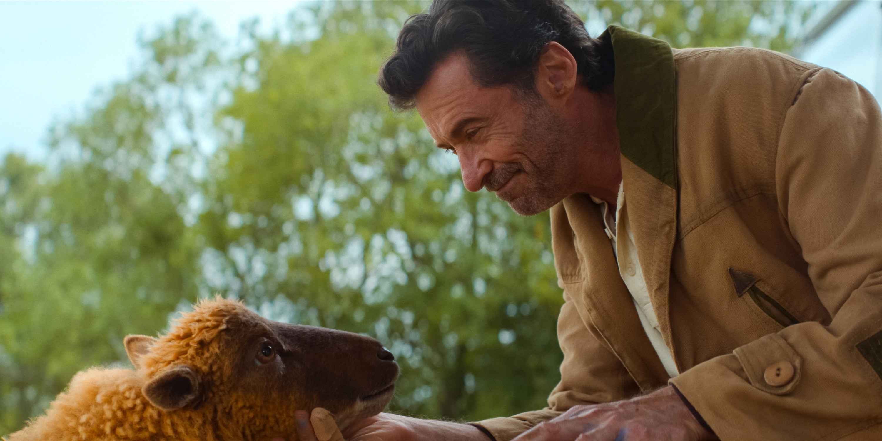 Man gently interacting with a sheep outdoors, smiling warmly, wearing a casual jacket