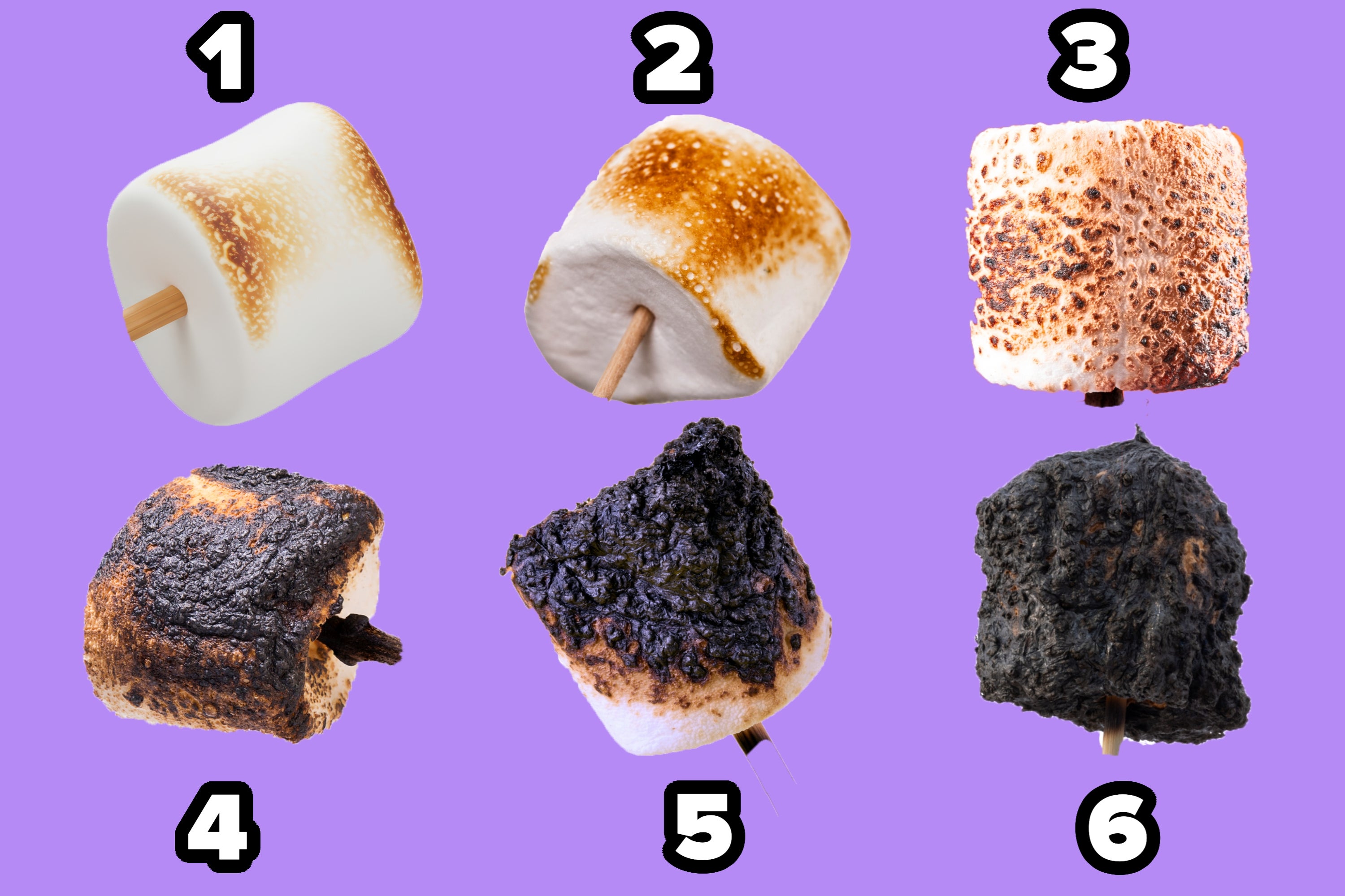 Marshmallows on sticks with varying degrees of toasting from lightly golden (1) to very burned (6) on a purple background