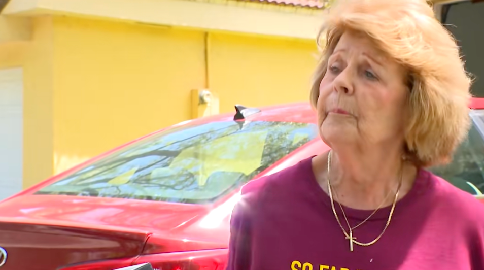 An aged pistillate stands successful beforehand of a car with a puzzled expression, holding documents. A tiny vertebrate is perched connected her shoulder
