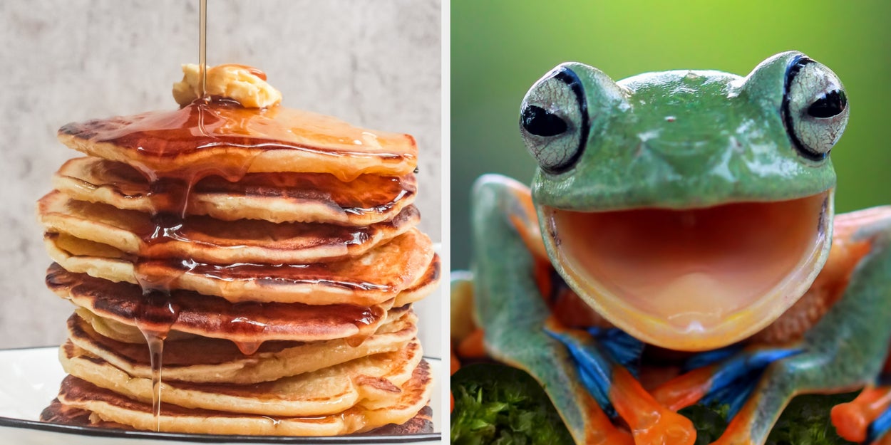 Eat At A BIG Buffet And I Will Tell You Which Frog You Are
