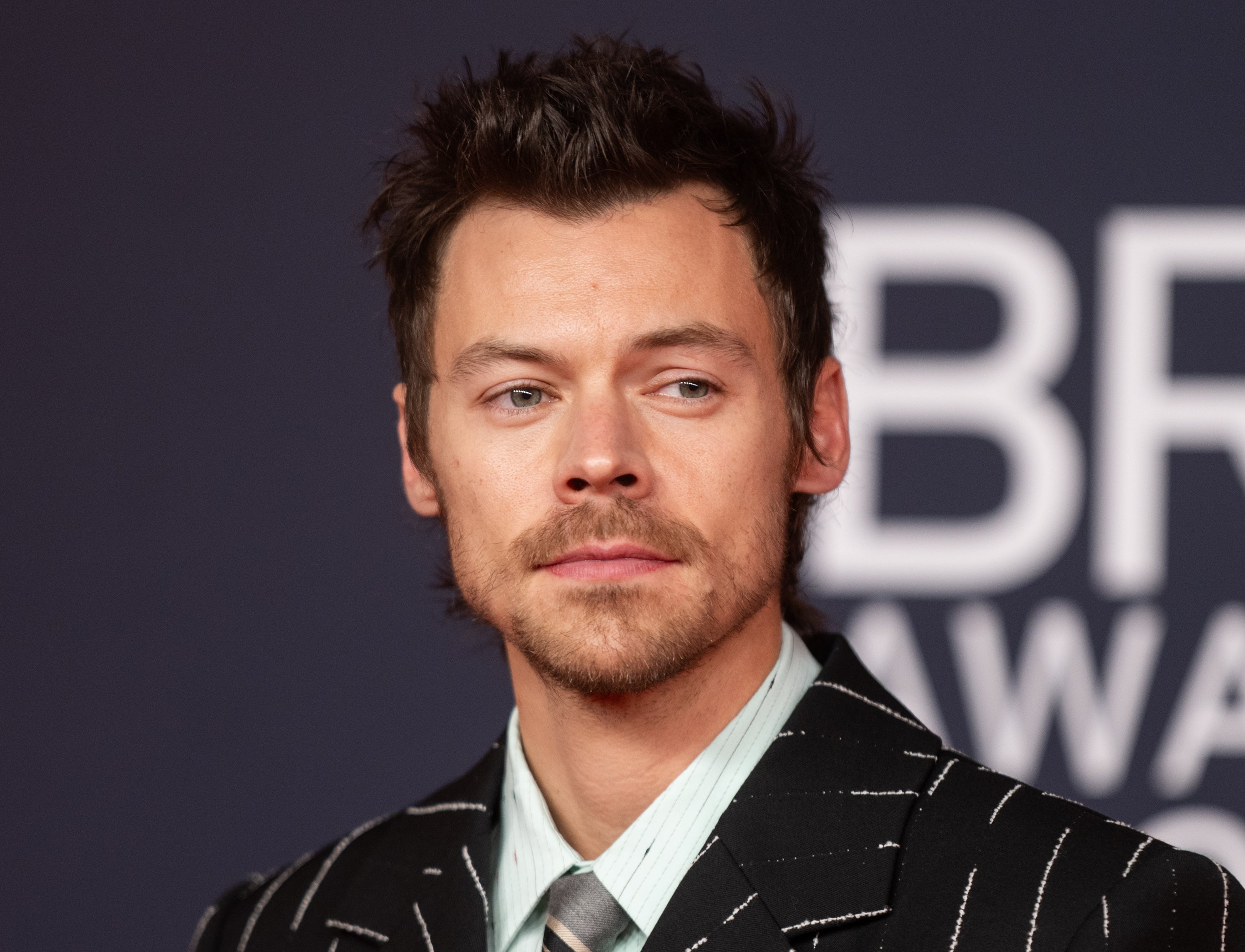 Harry Styles in pinstripe suit at an event, looking to the side, with styled hair and facial hair