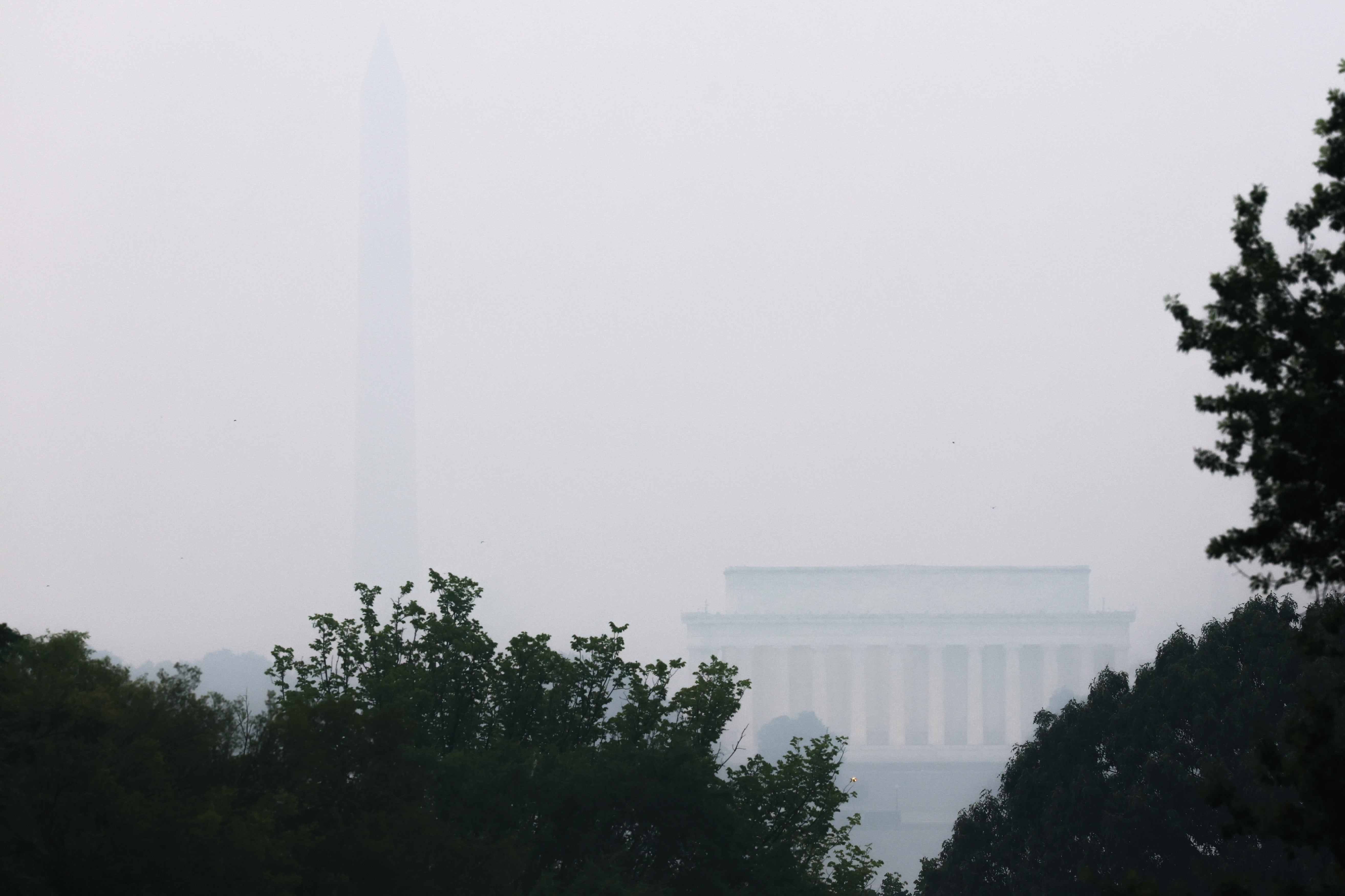 Lincoln Memorial og Washington Monument er knapt synlige gjennom tung tåke, trær i forgrunnen