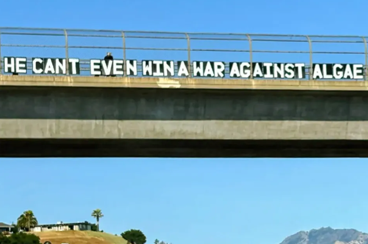 25 Bridge Signs Donald Trump Will Really, Really, Really Piss Donald Trump Off