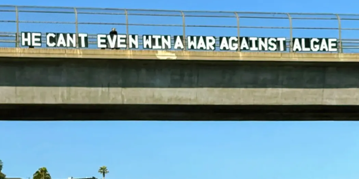 25 Bridge Signs Donald Trump Will Absolutely Hate