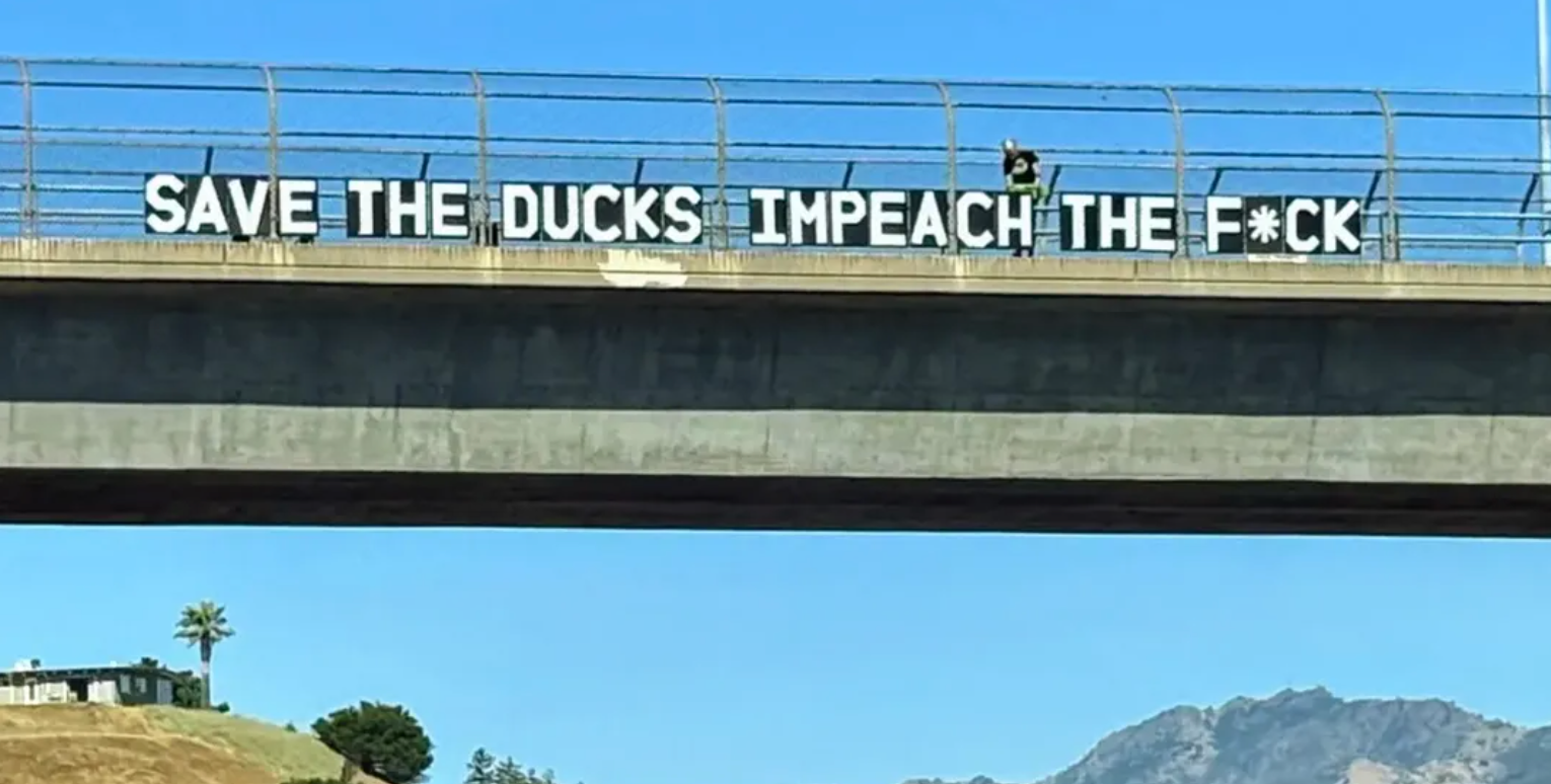En person henger store bokstaver på en bro og leser: "SAVE THE DUCKS IMPEACH THE F*CK."