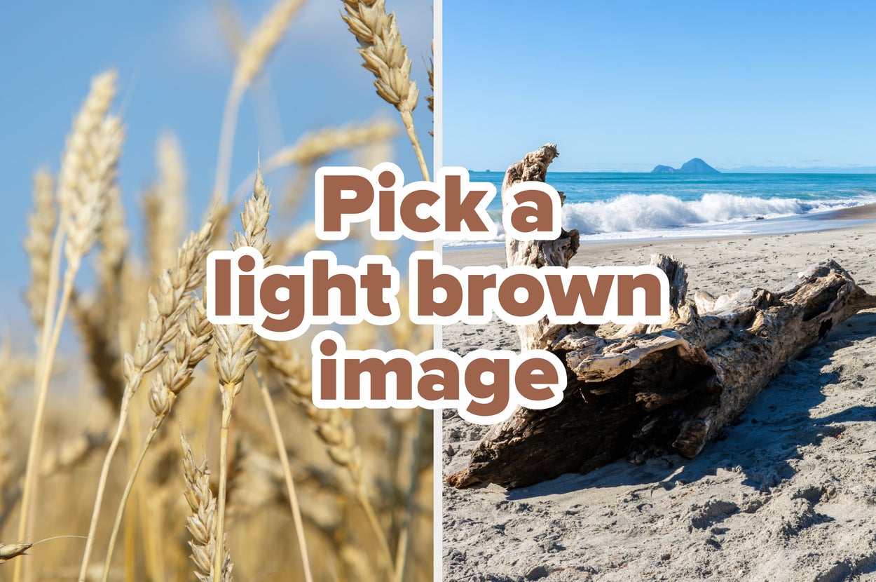 Split image with wheat field on the left and driftwood on a beach on the right. Text says, "Pick a light brown image."