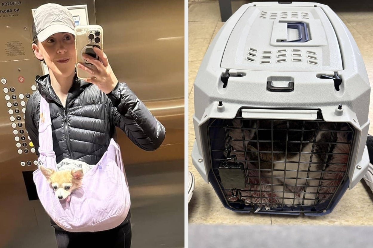 Person in elevator with dog in carrier bag; alongside a pet carrier with same dog inside