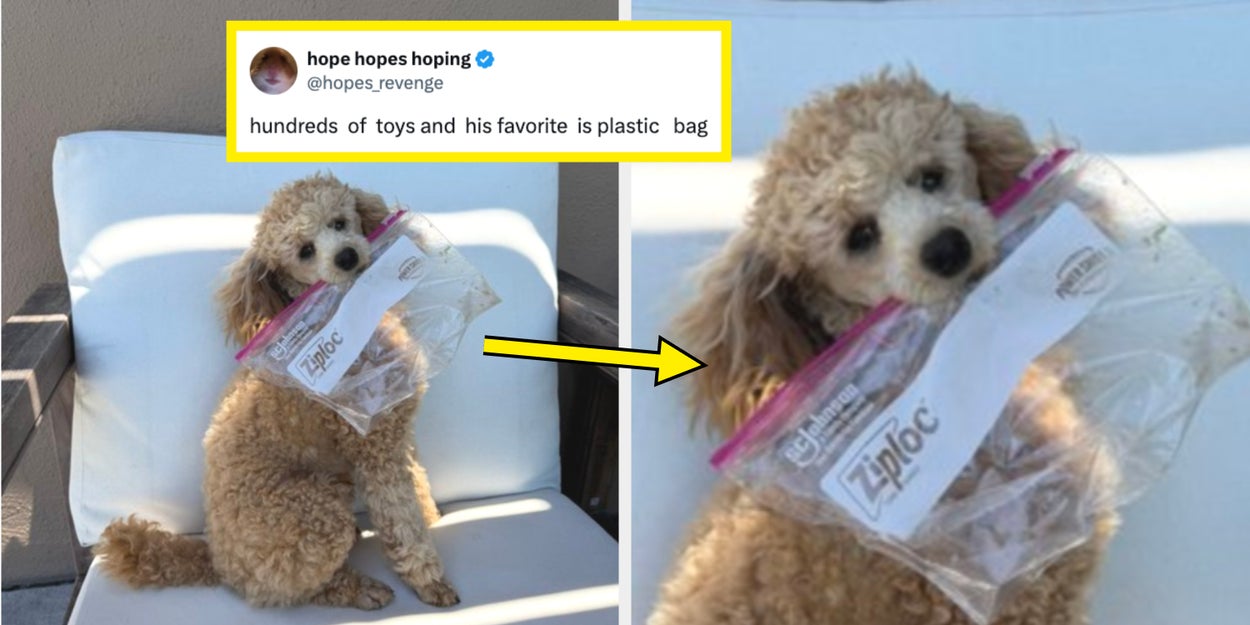39 Hilarious Internet Fails From Last Week