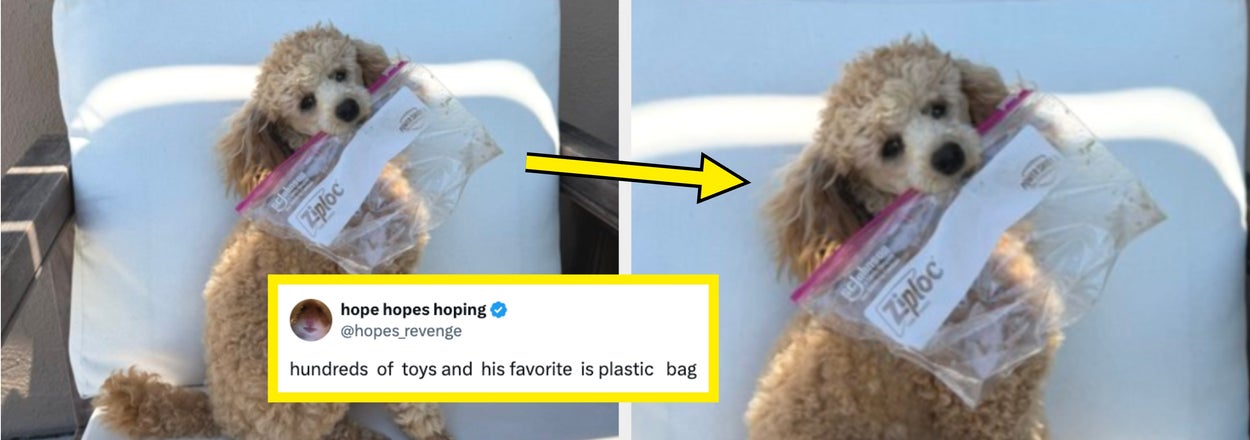 These 39 Hilarious Fails From Last Week Made Me Laugh So Hard I Did A Real-Life Spit Take