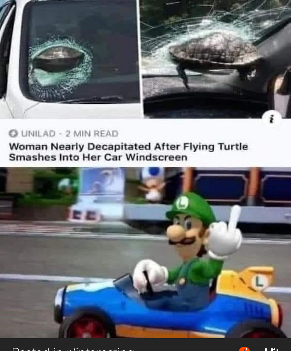 Social media post shows a news headline about a turtle hitting a car windshield, followed by an image of a video game character in a kart