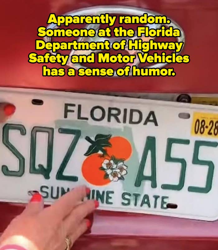 Florida license plate on a car, reading "SQZ A55" with oranges and the text "Sunshine State." A hand is partially covering part of the plate