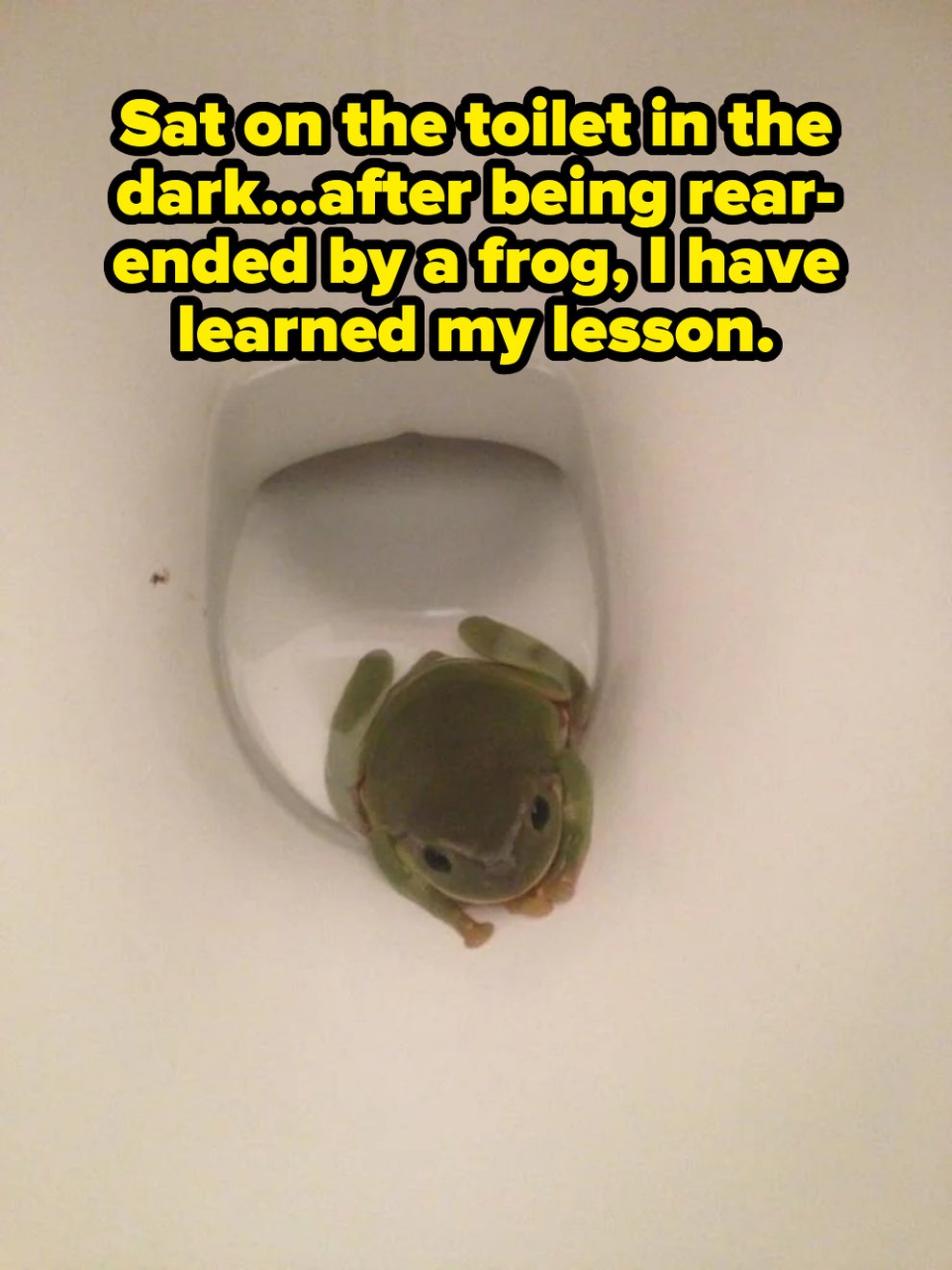 A small frog is sitting inside the curved base of a white plastic container, looking up