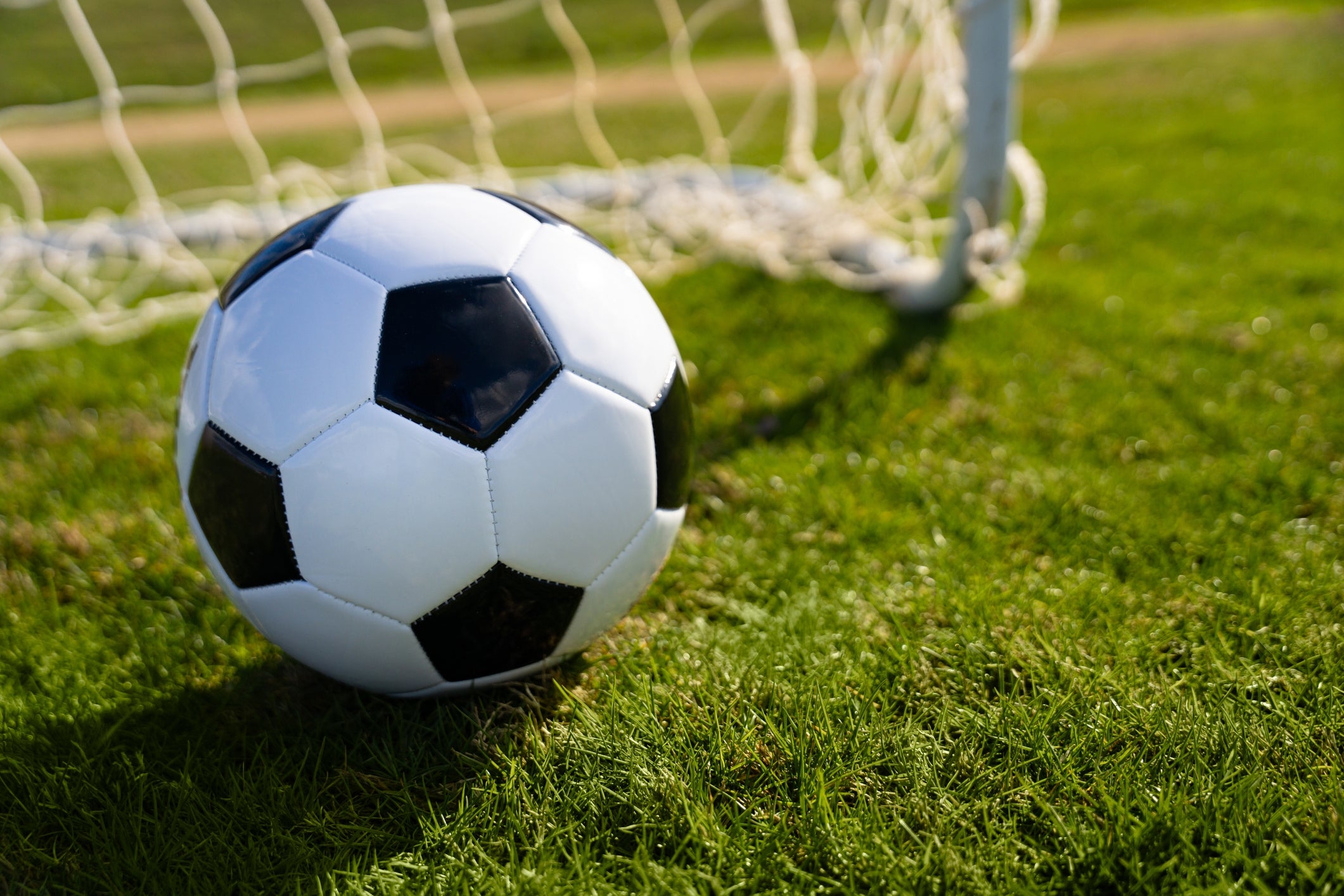 Soccer ball resting on grass near a goalpost on a sunny day