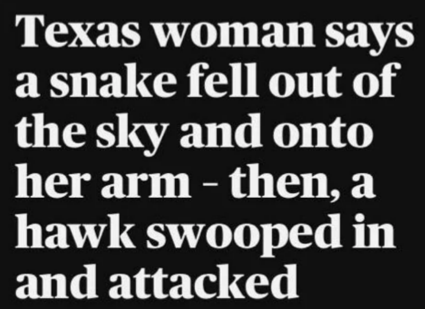 Summary of text: Texas woman claims a snake fell on her arm from the sky; a hawk then attacked