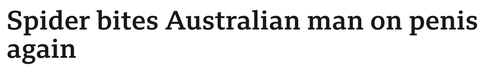 Article headline: "Spider bites Australian man on penis again."