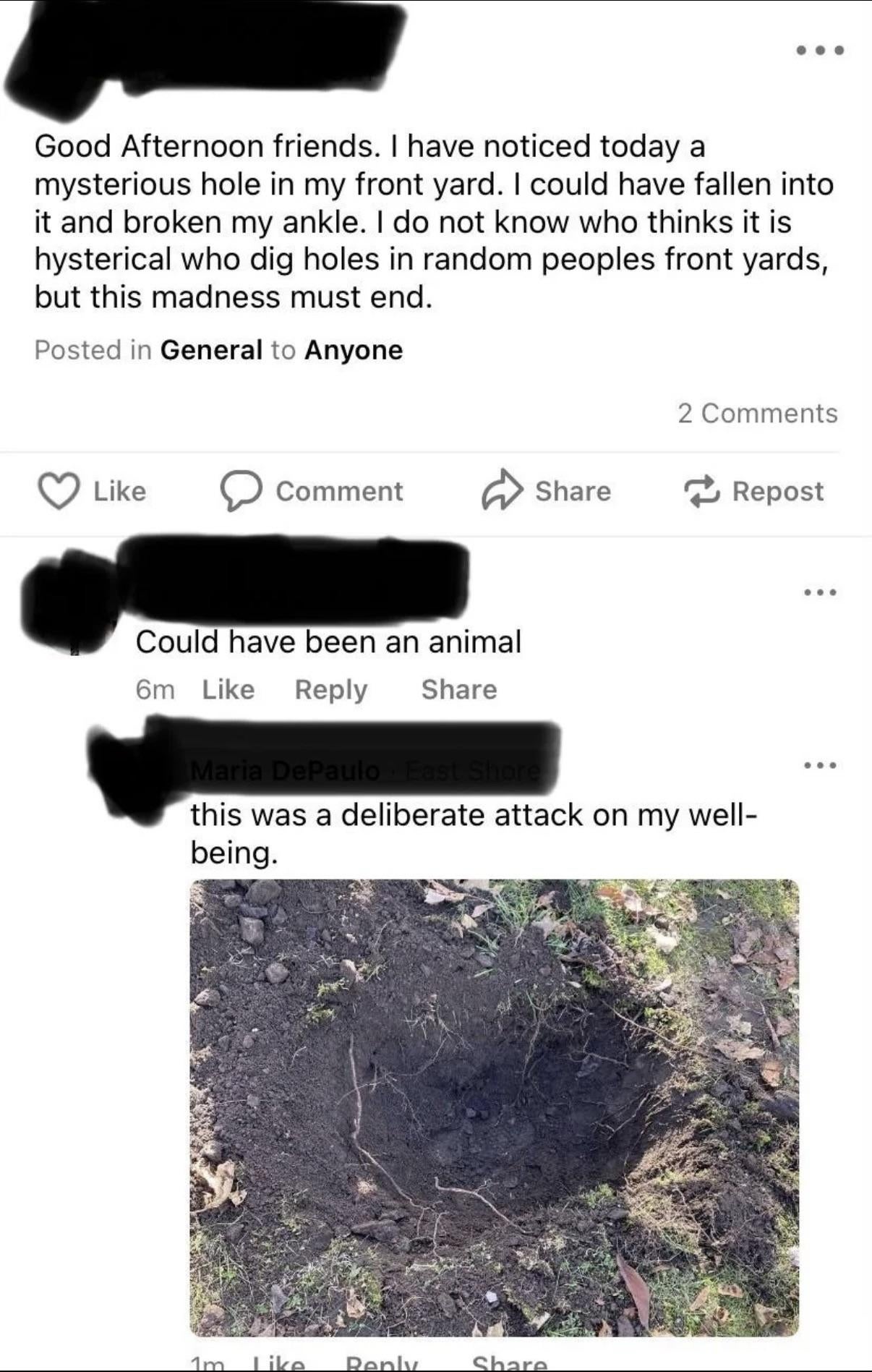 A social media post discusses tripping over a mysterious hole, speculating it may have been an animal. Comments discuss well-being
