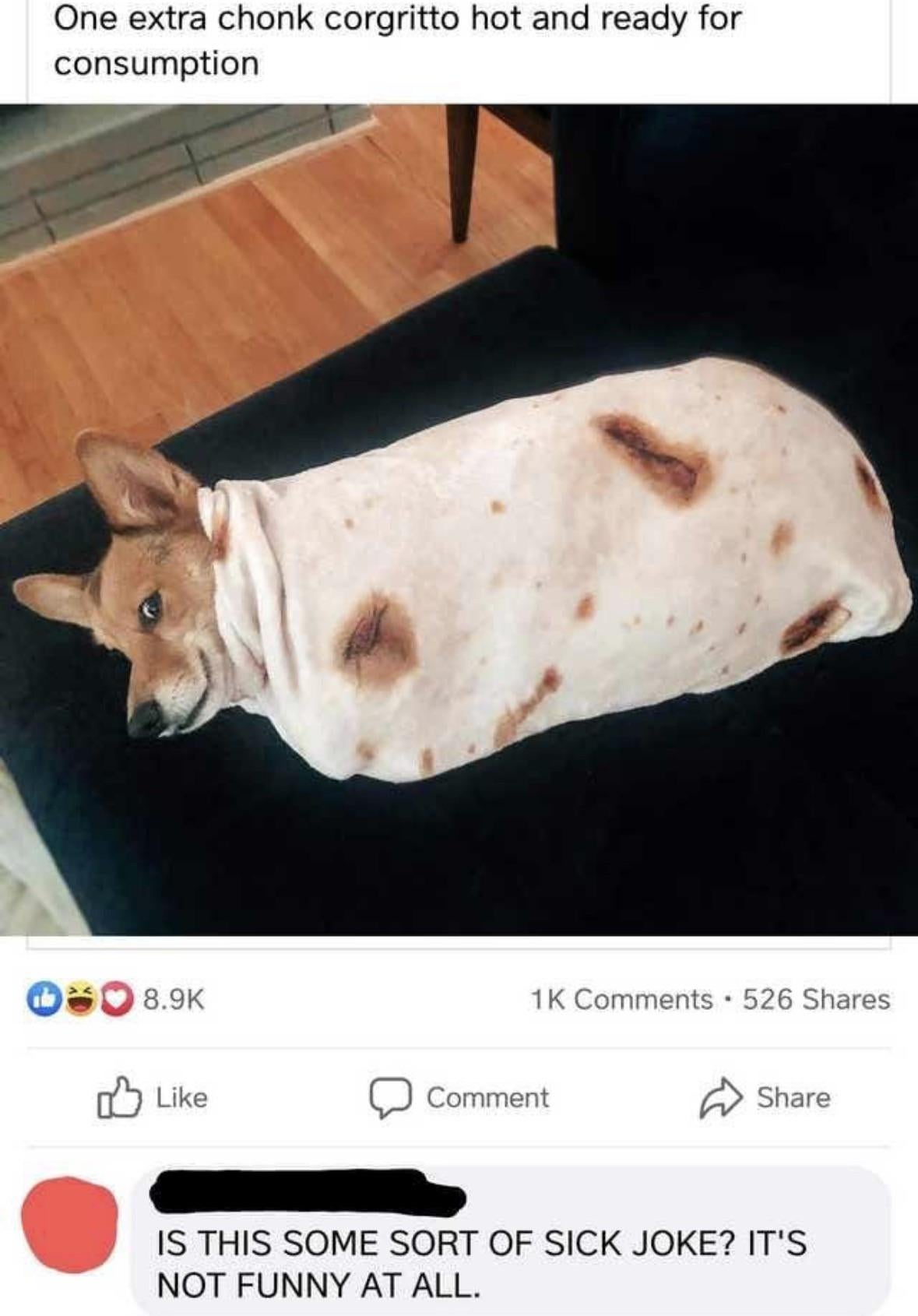 Dog wrapped in a blanket like a burrito on a couch with humorous comments below