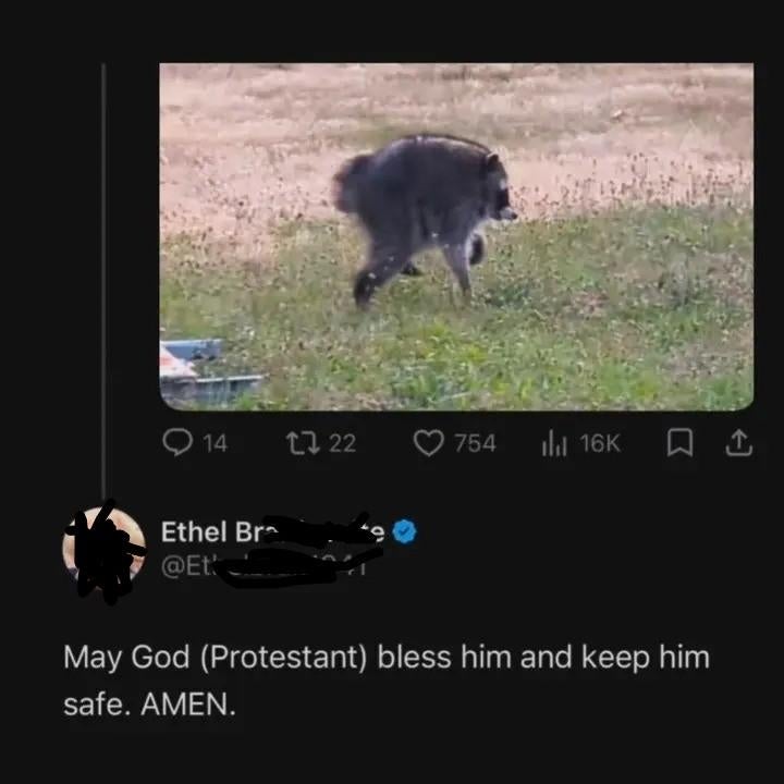 A tweet shows a raccoon walking in grass. The caption reads, "May God (Protestant) bless him and keep him safe. AMEN."