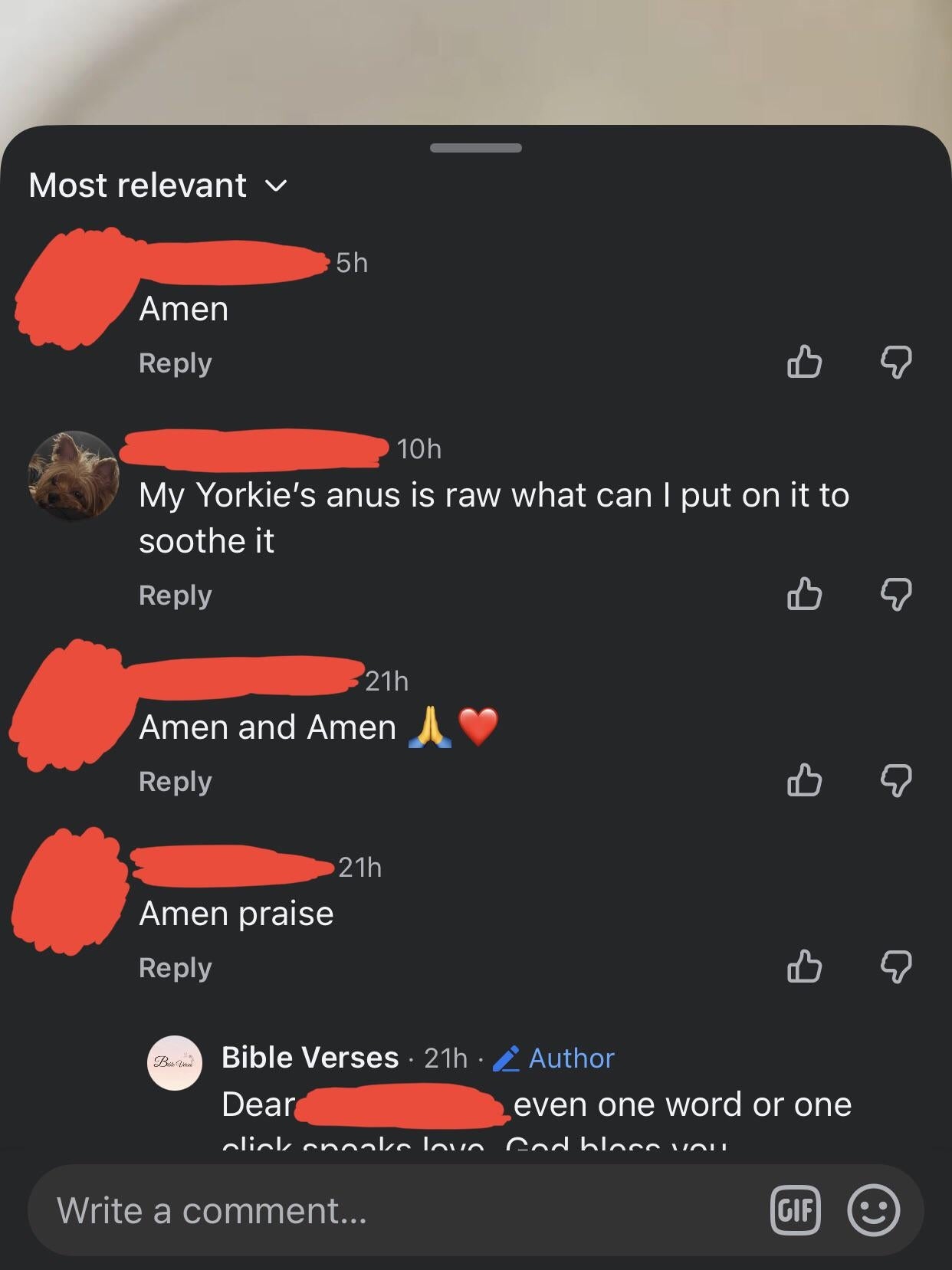 A Facebook post with comments saying "Amen" and a query about soothing a Yorkie's issue. The last comment is from a page called "Bible Verses."