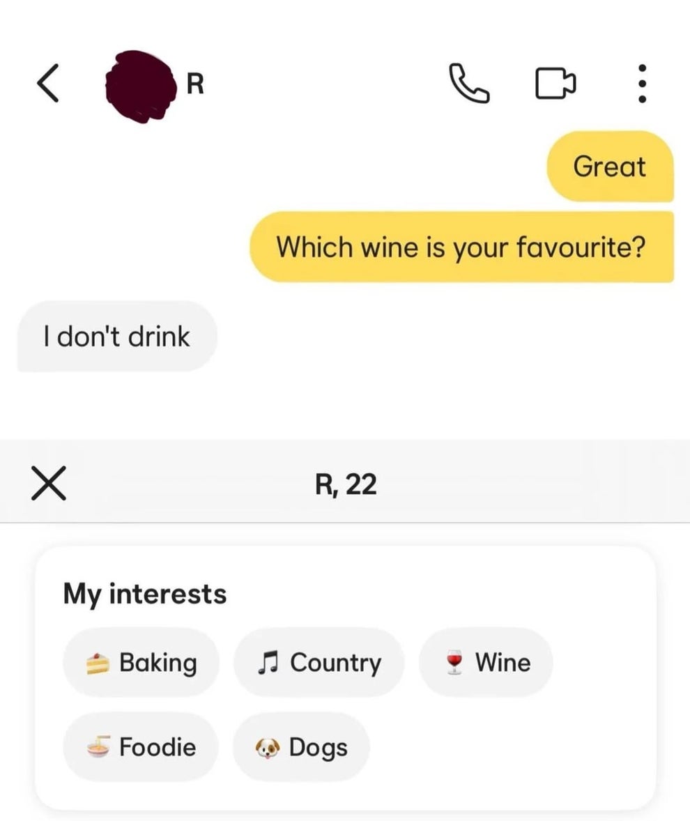 Profile text exchange revealing a contradiction: person states they don't drink but lists "Wine" as an interest. Interests also include baking and dogs