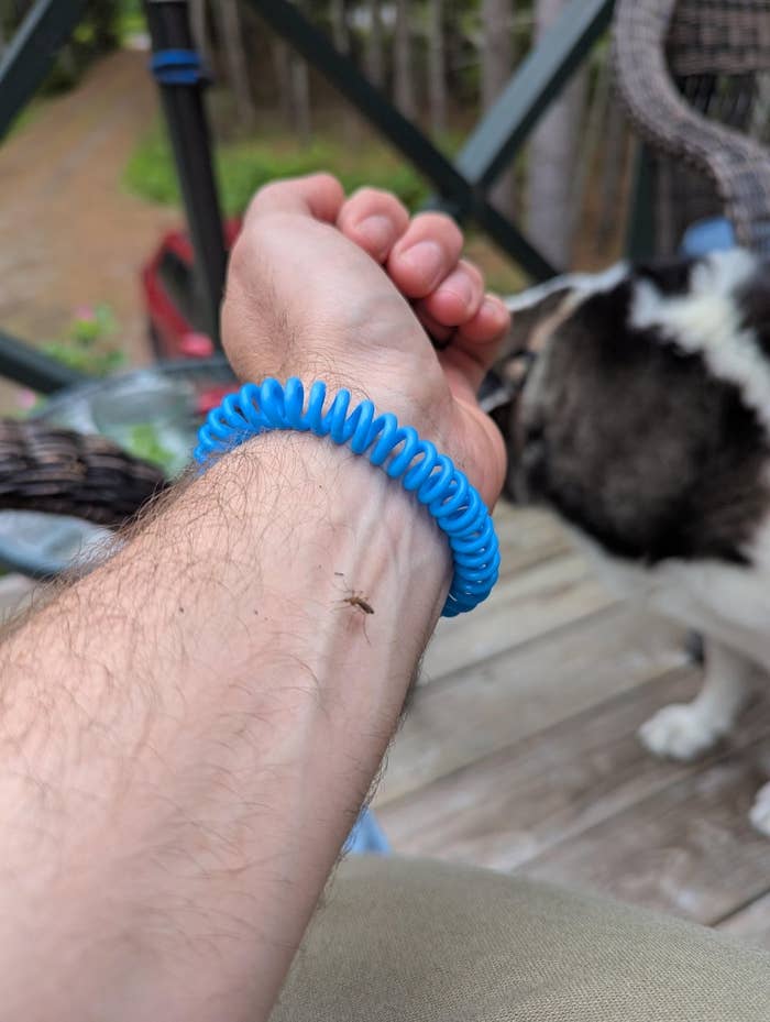 Person wearing a blue coil bracelet tries to swat a mosquito on their wrist, with a dog in the background on a porch
