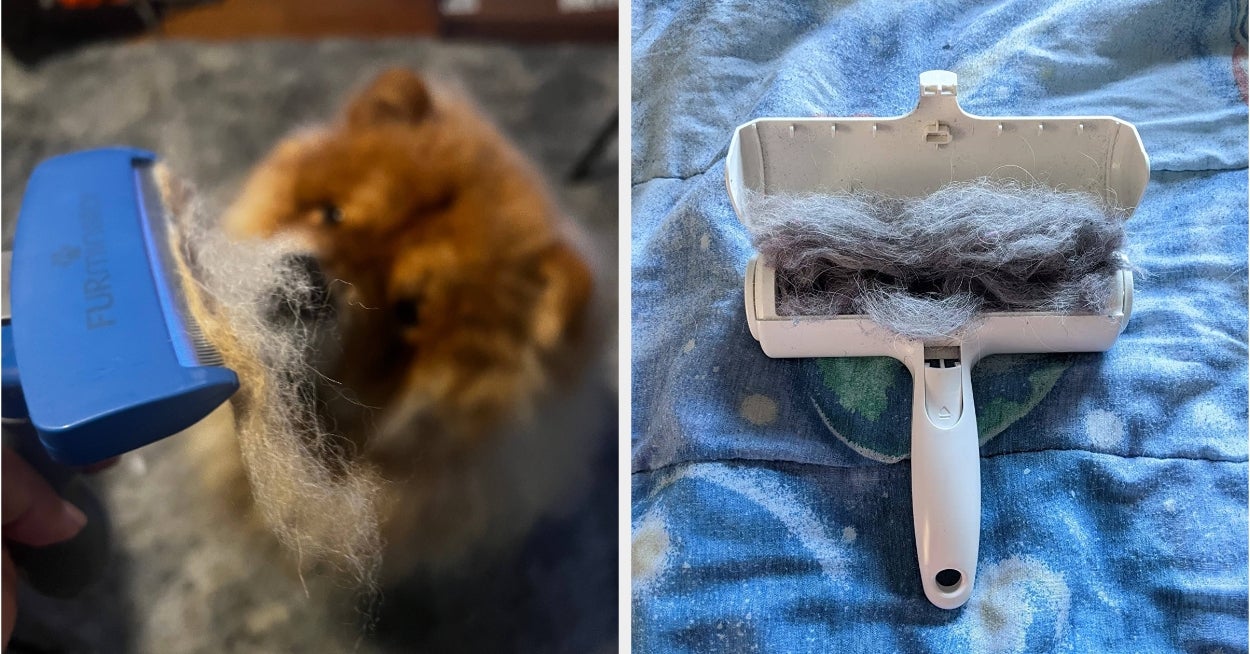 It’s Always Shedding Season Here, 6 Products I Swear By Since Getting A Dog