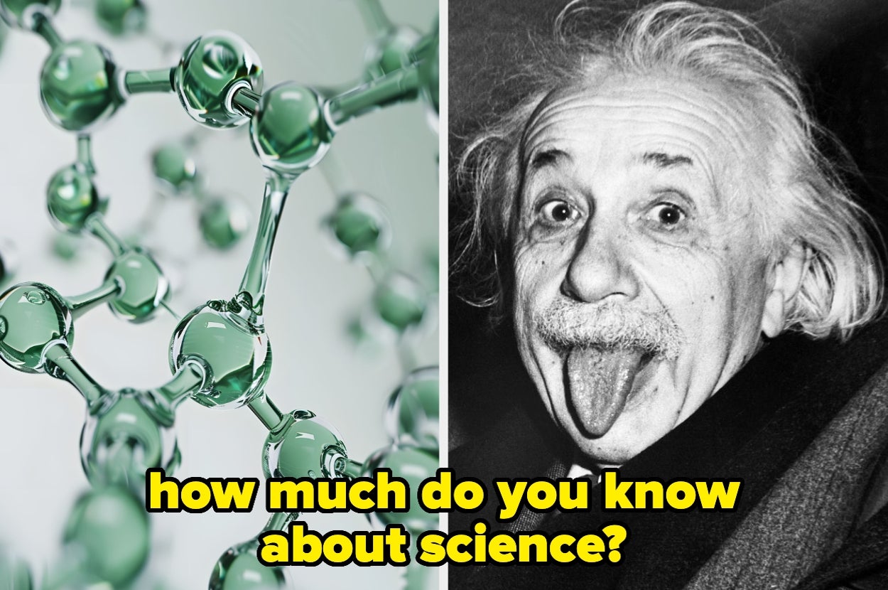 Studies Show Most People Can’t Pass A Fifth-Grade Biology Test, So You’re A Genius If You Score Higher Than 87%