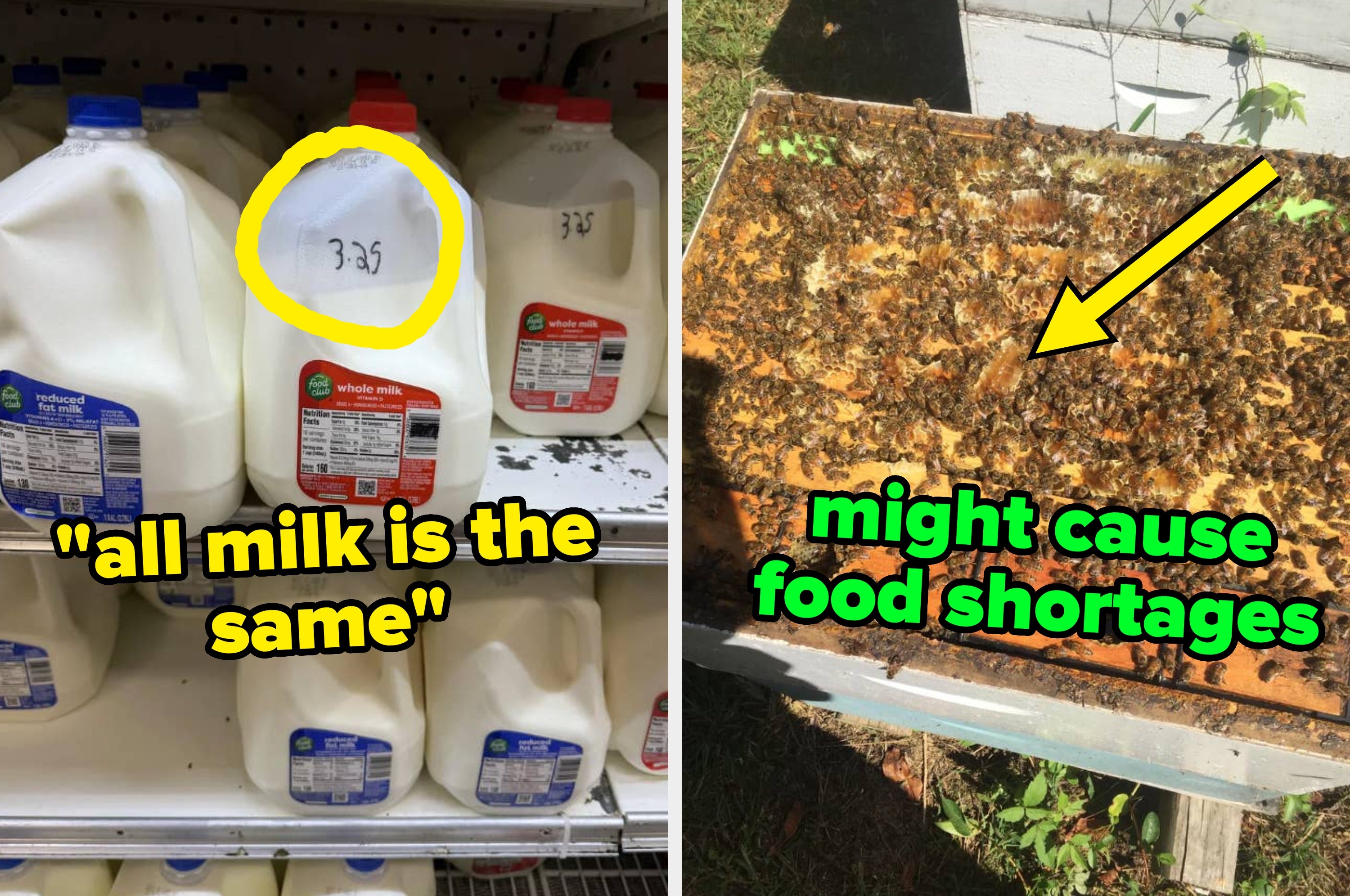 buzzfeed.com - Dannica Ramirez - People Are Sharing The Industry Secrets The General Public Isn't Supposed To Know, And WHOA