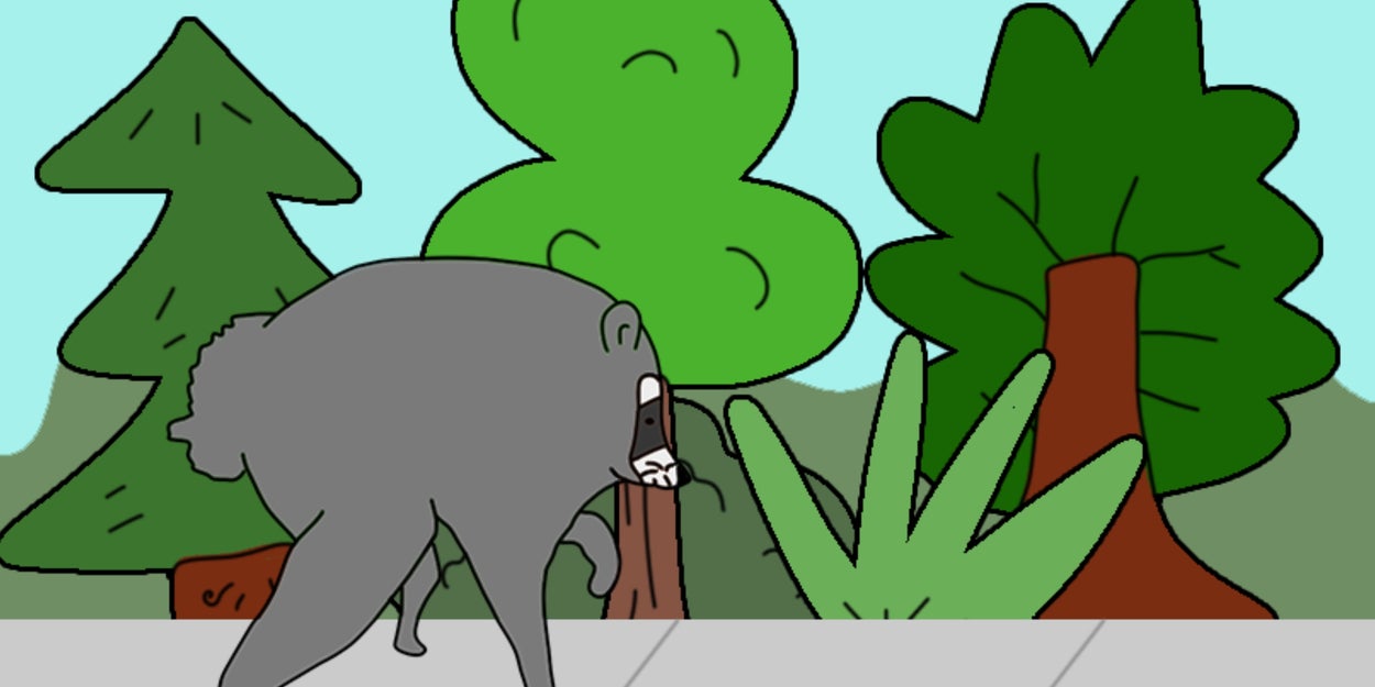 In This Game, You're Jimothy — Can You Navigate The Streets Of Seattle As A Viral Little Furball?