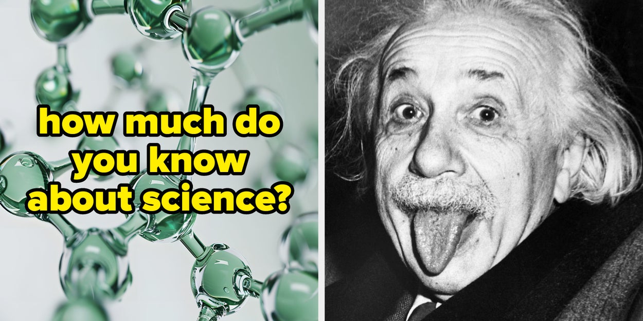 Studies Show Most People Can’t Pass A Fifth-Grade Biology Test, So You’re A Genius If You Score Higher Than 87%