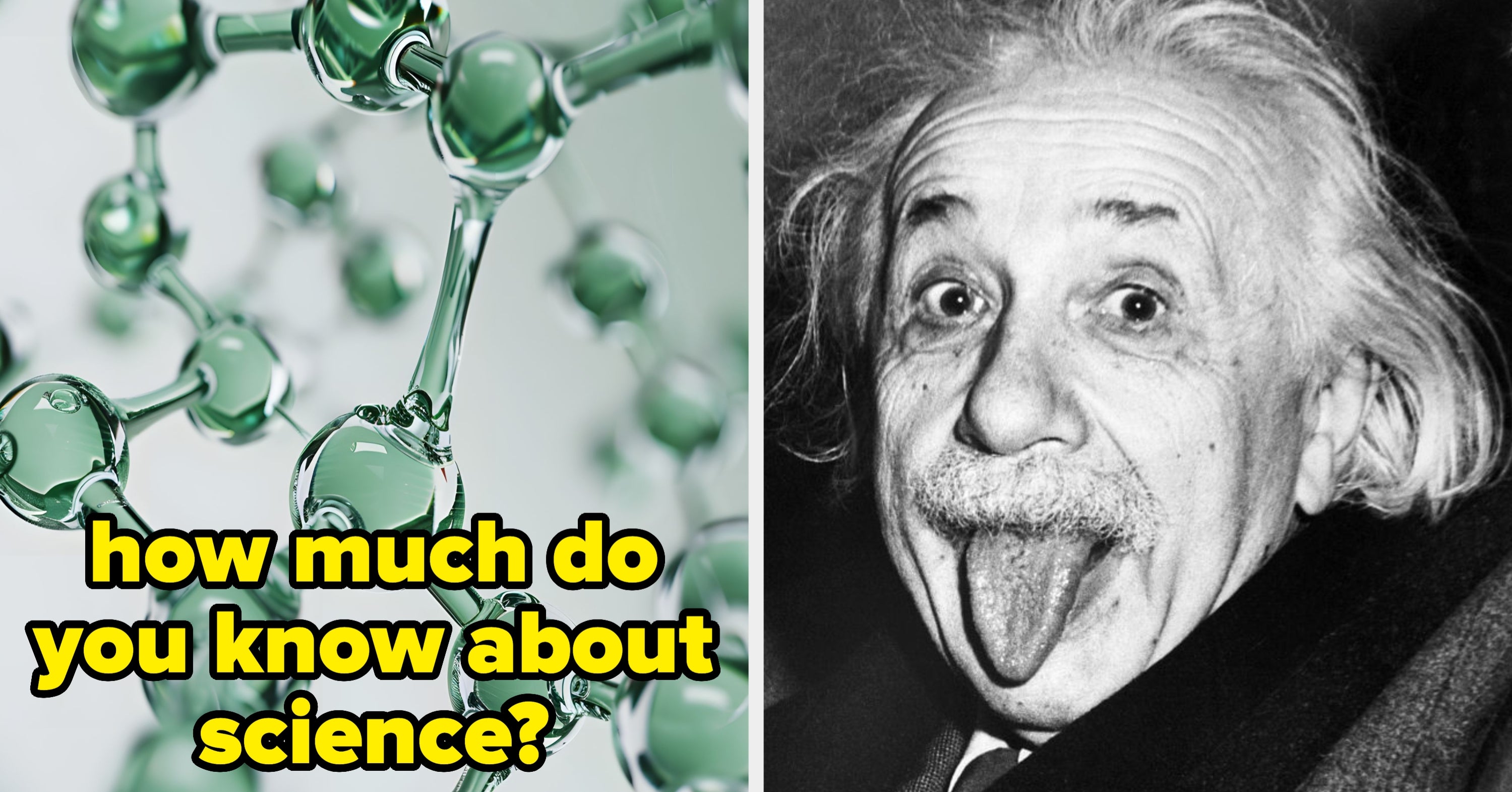You're Actually A Genius If You Can Score Higher Than 87% On This Fifth-Grade Biology Test - BuzzFeed
