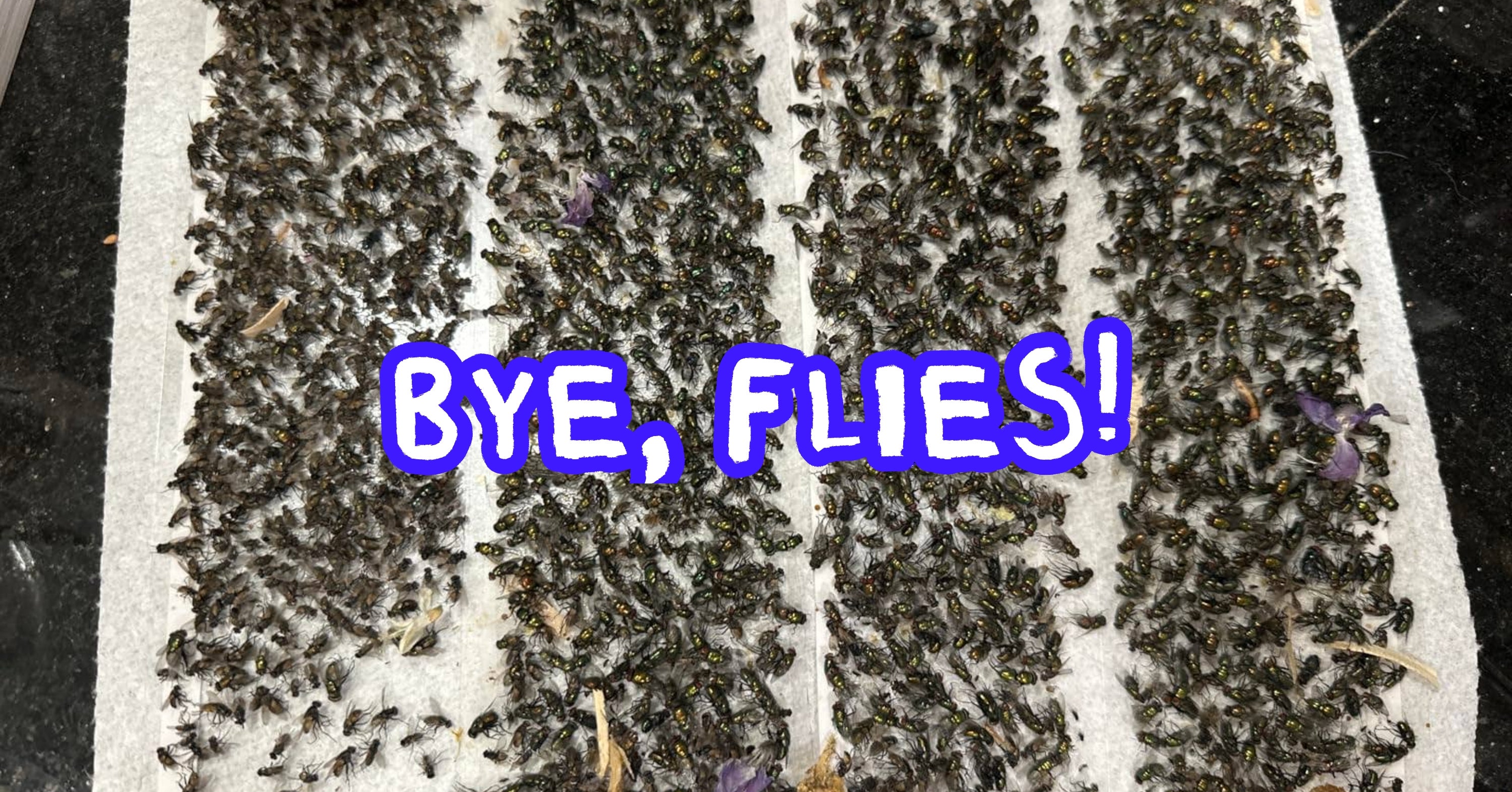 35 Products So Effective, Using Them Will Make You Feel Like You Have Superpowers
