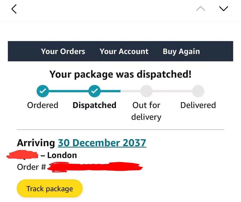 Order confirmation showing package dispatched, arriving 30 December 2037 in London. Options to track package