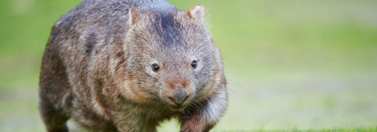 16 Of The Weirdest Facts That Will Stick In Your Brain For Literal Years To Come