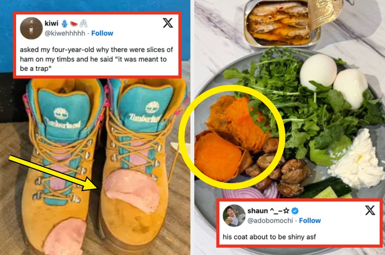 I Almost Pulled A Muscle In My Neck From Laughing At These 39 Hilarious Tweets From The Week