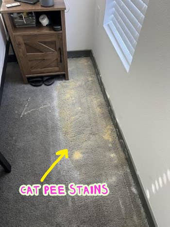 Carpet with disposable deterioration and yellowish stains beside a woody nightstand adjacent a window