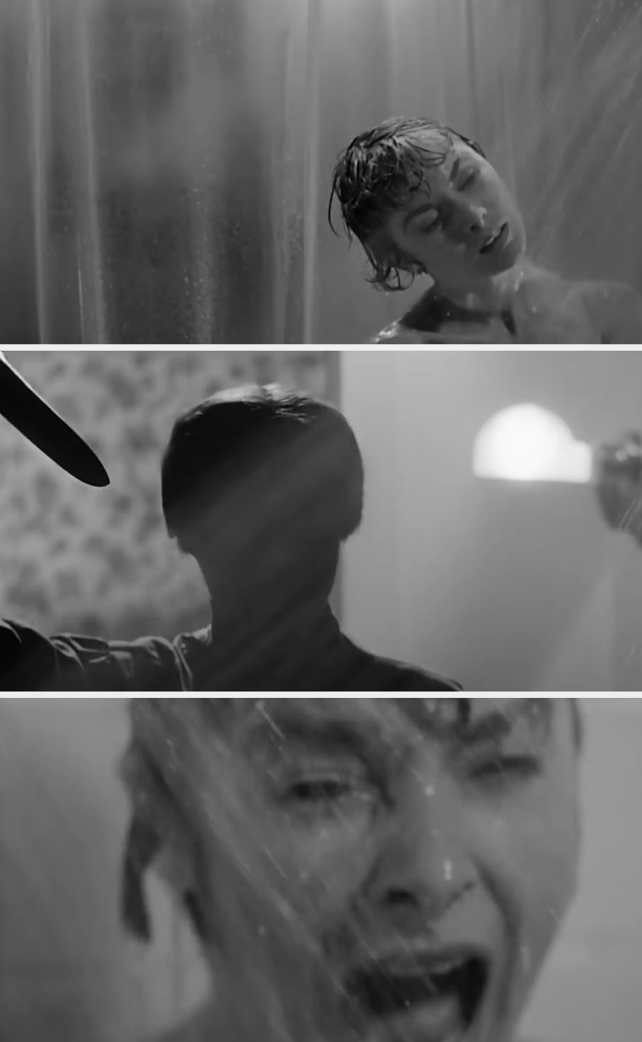 A tiled photo collage with different shots of the iconic shower murder scene from Psycho