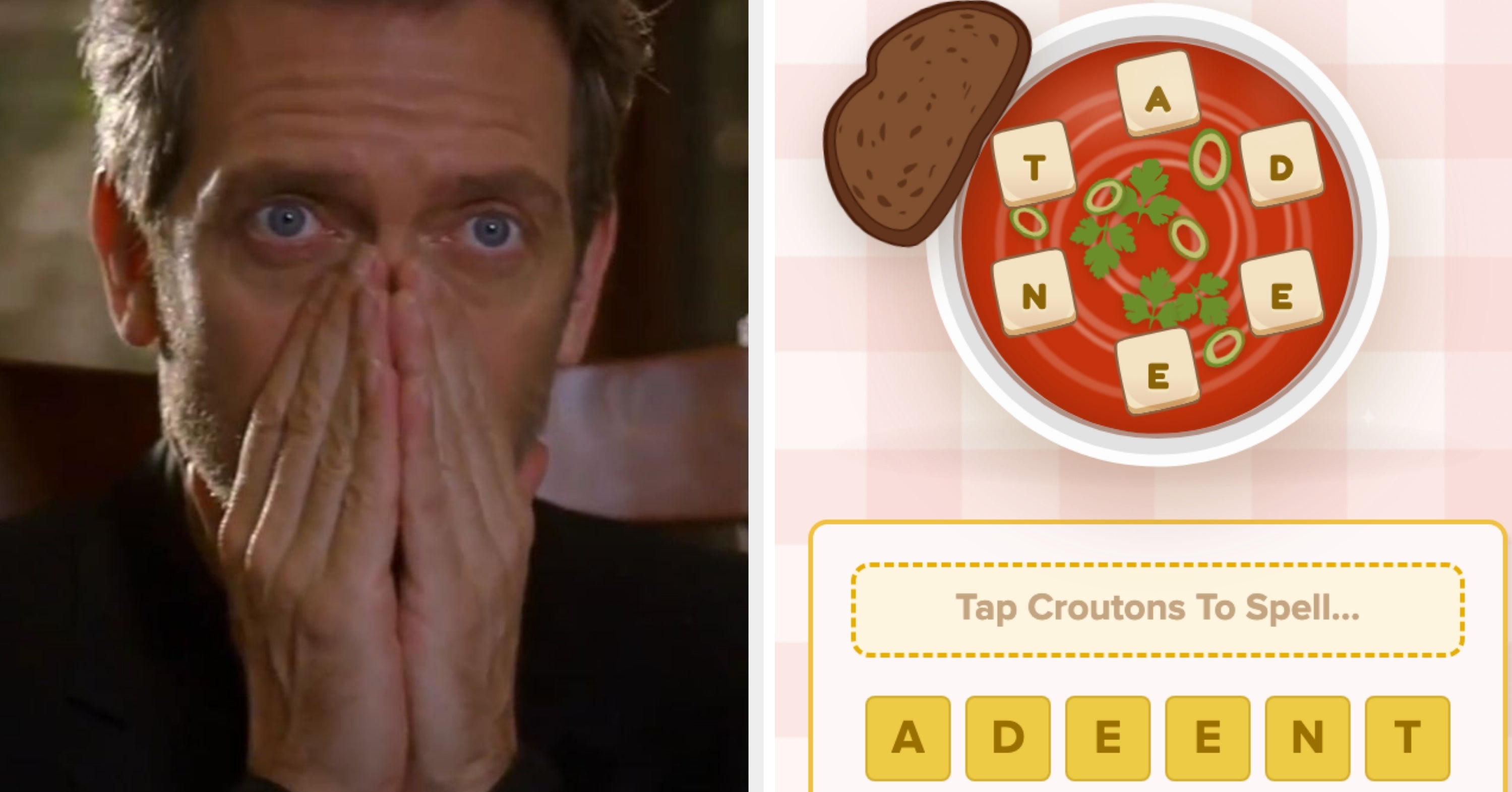I Promise I Will Lick My Old Gym Sock IF (& Only If) You Can Find Allllll The Words In This Daily Word Game