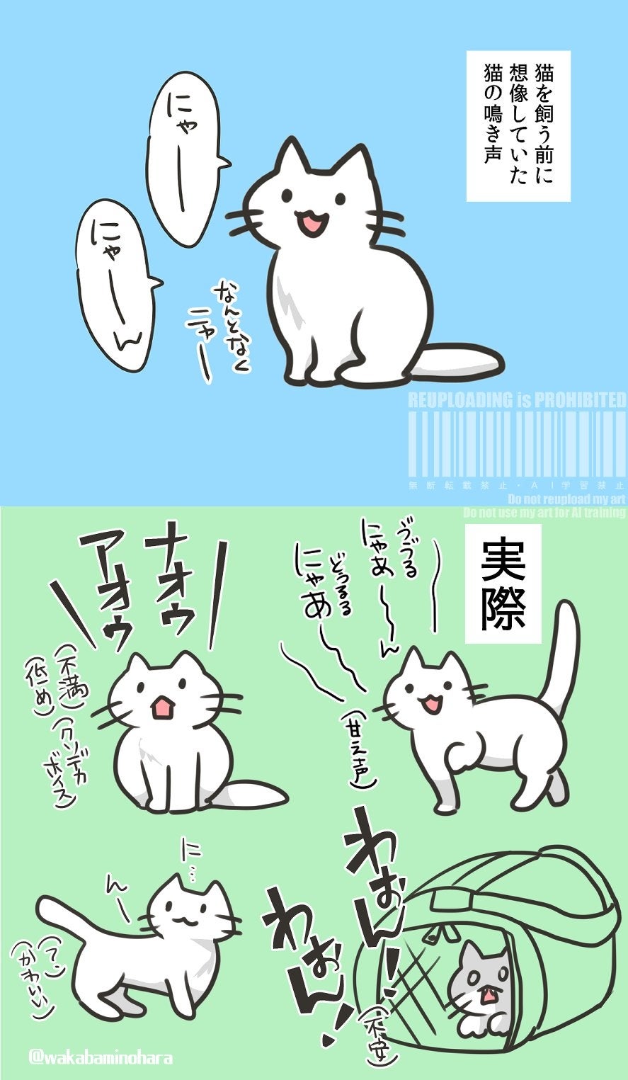 猫の鳴き声のパターンを描いたイラスト / 和樺さん（@wakabaminohara）のXより