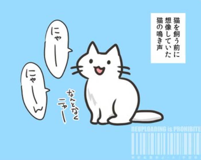 猫が「にゃー」と鳴いているイラスト / 和樺さん（@wakabaminohara）のXより