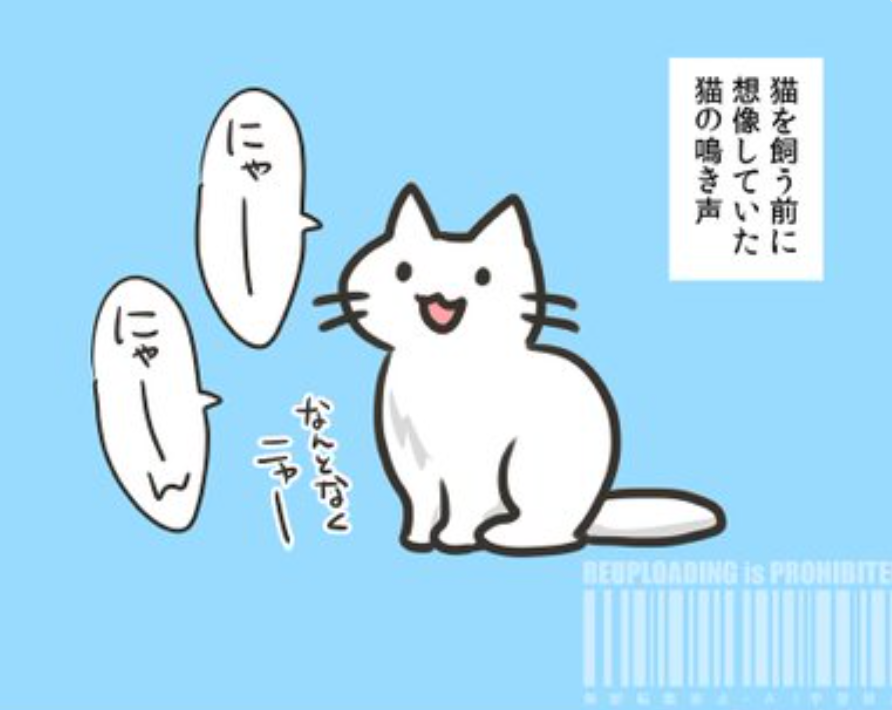 猫が「にゃー」と鳴いているイラスト / 和樺さん（@wakabaminohara）のXより