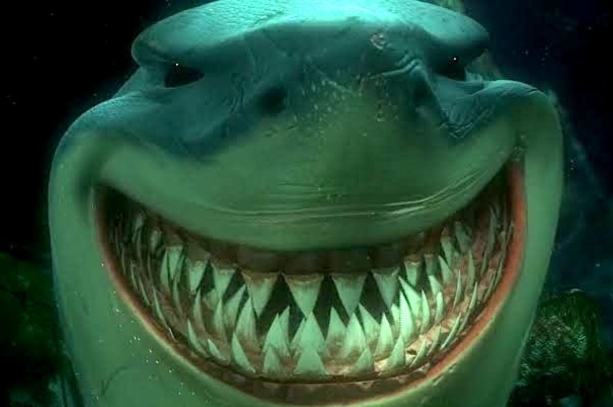 Bruce the shark from Finding Nemo looking massive and menacing