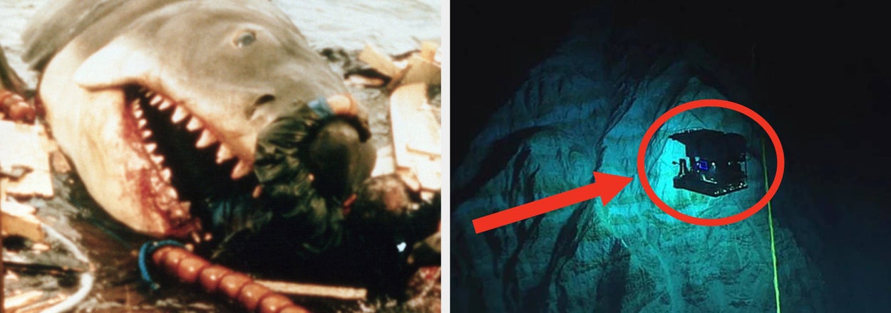 I’m Genuinely NEVER Entering A Large Body Of Water Ever Again After Learning These Utterly Horrifying Things About The Ocean