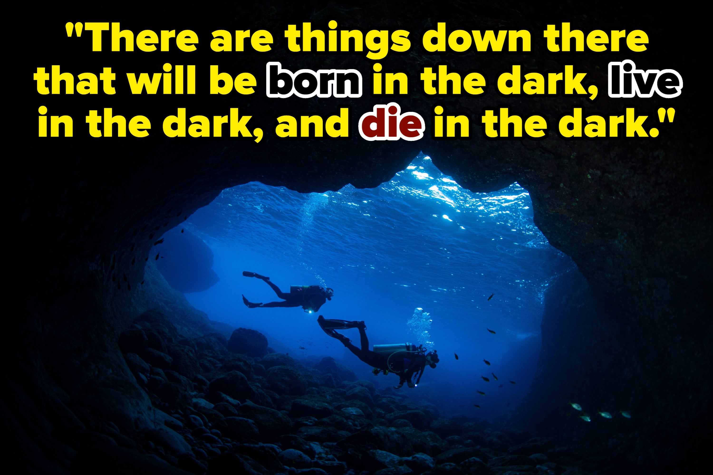 View of scuba divers from within an underwater cave with a quote that reads "There are things down there that will be born in the dark, live in the dark, and die in the dark"