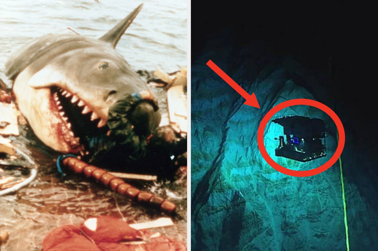 20 Really, Really, Really Scary Things I Just Learned About The Ocean, And I'll Pass On Going In The Water This Summer